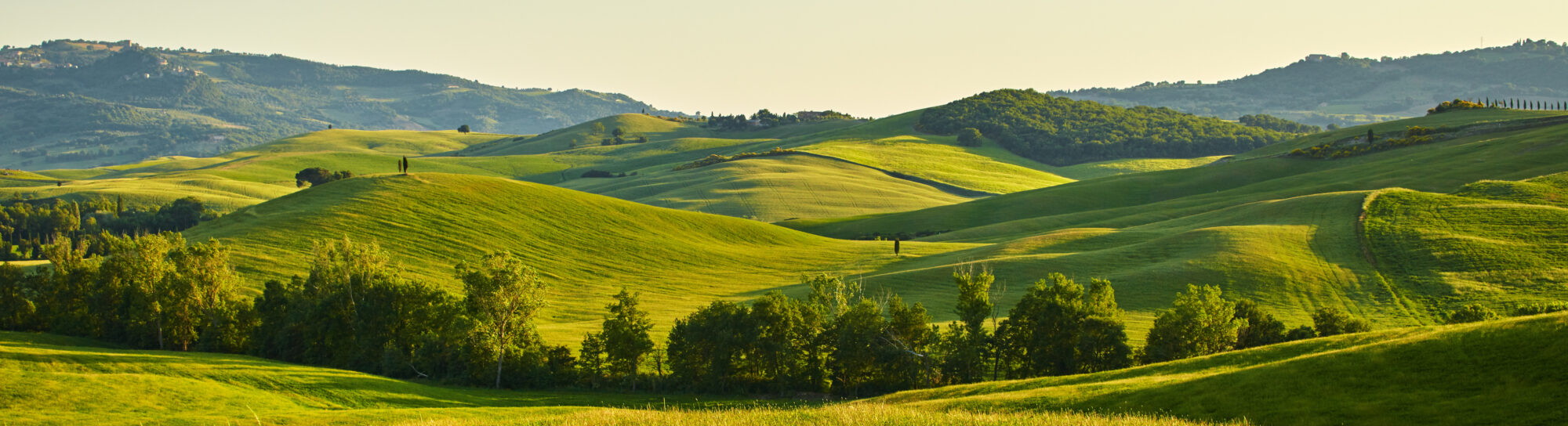 False paths in climate protection