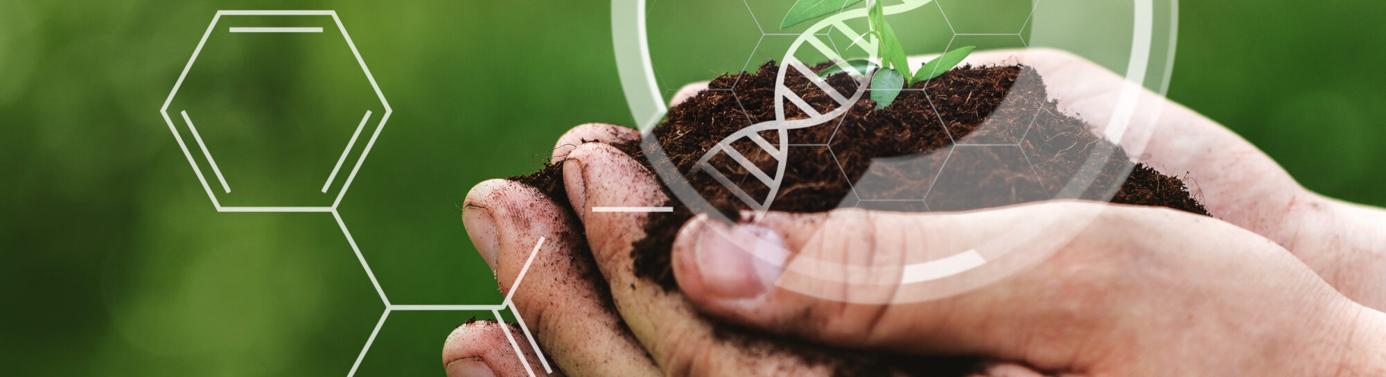 Only half the truth in the genetic engineering debate