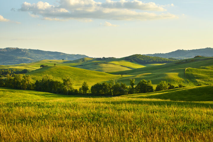 Irrwege beim Klimaschutz