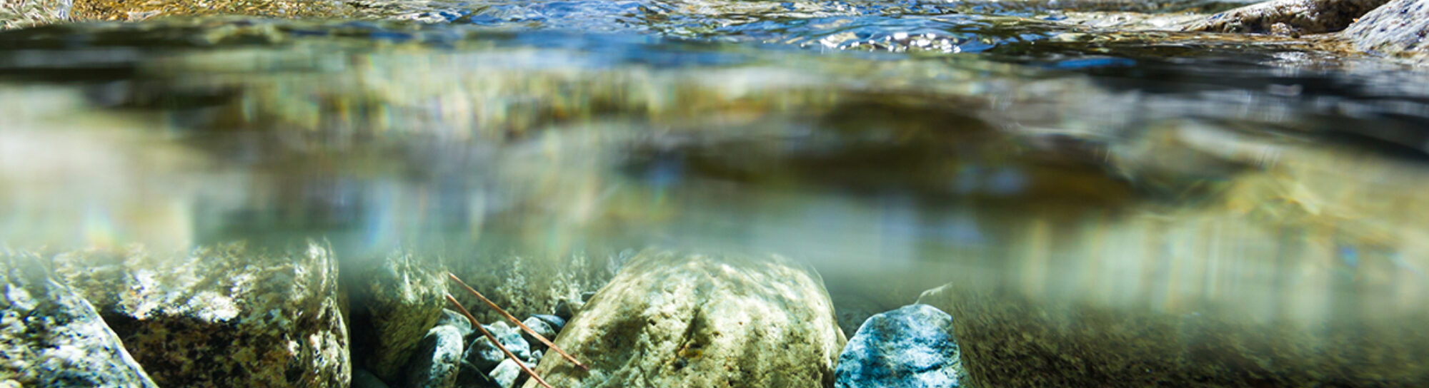 «L’eau en Suisse se porte mal.»