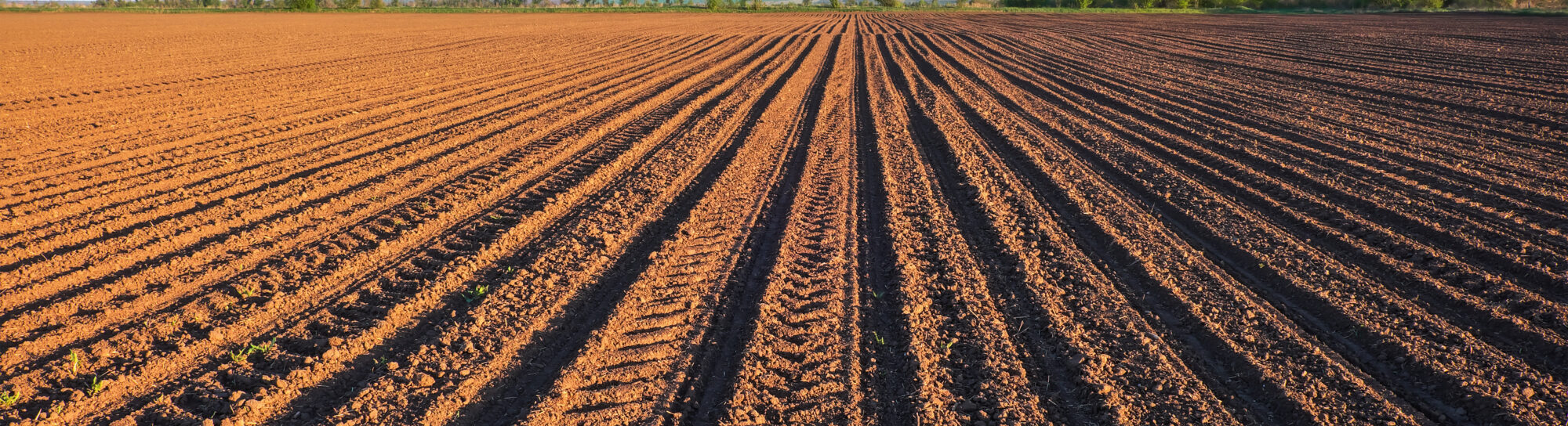 «Les pesticides ont un effet délétère sur le climat.»