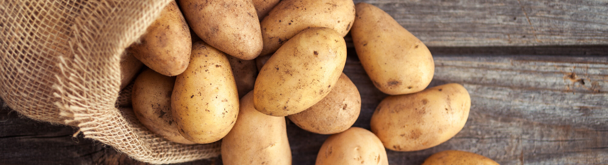 Potato shortage due to capricious weather and lack of crop protection