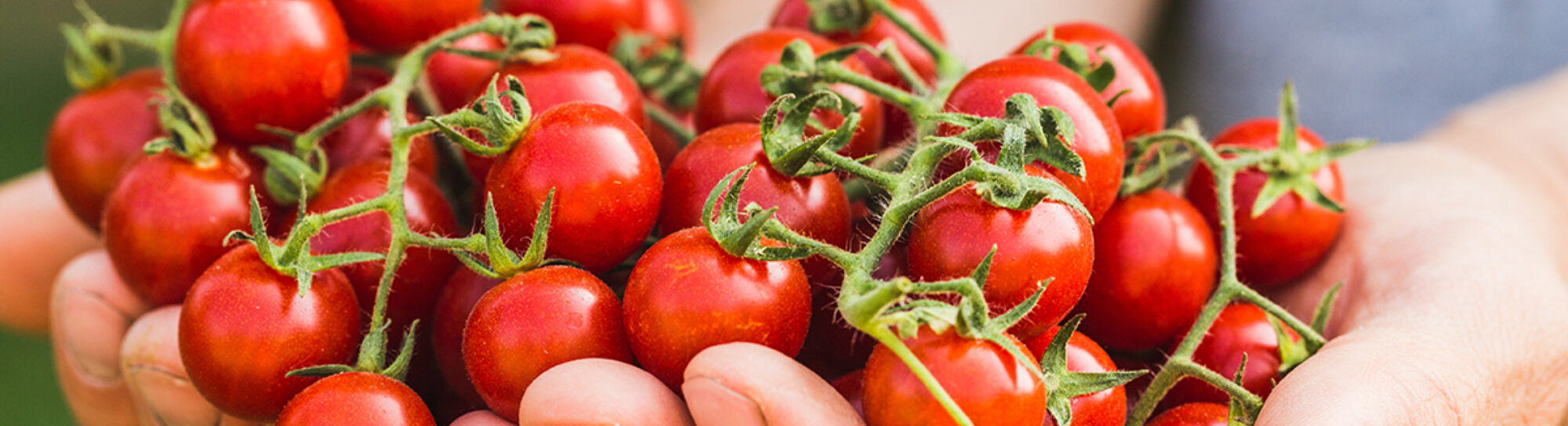 «Le bio se passe de pesticides.»