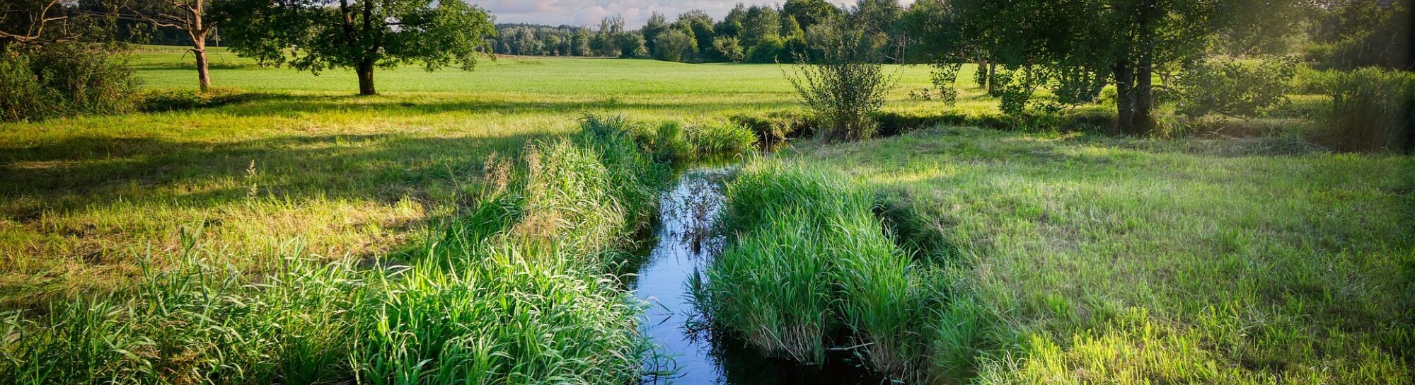 Dans l’agriculture conventionnelle, les risques liés à la protection des plantes diminuent