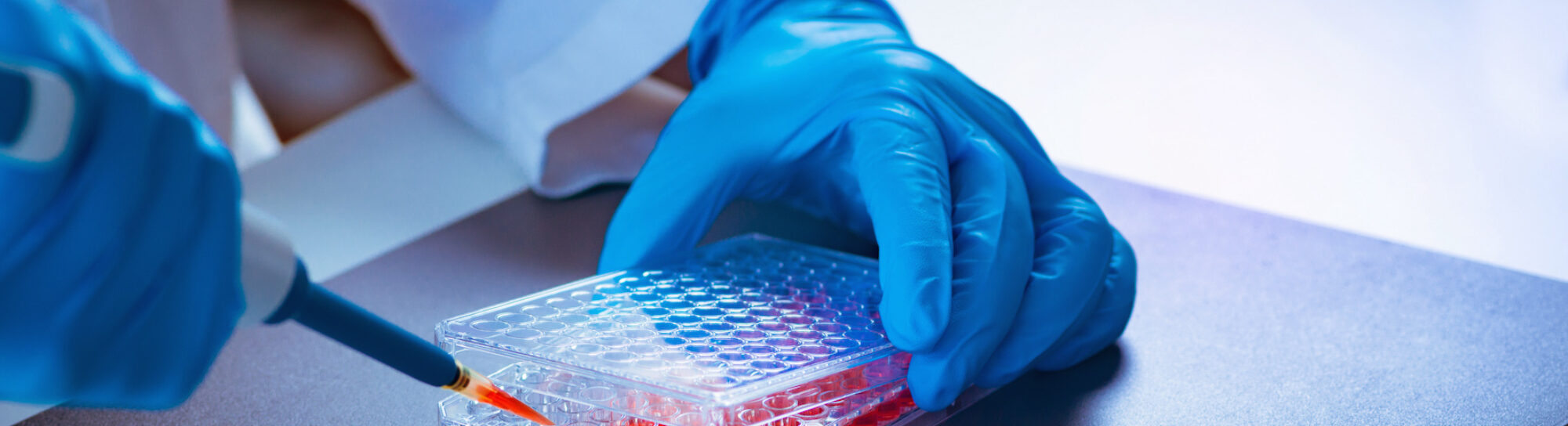 Enthousiasme des étudiants pour la biotechnologie