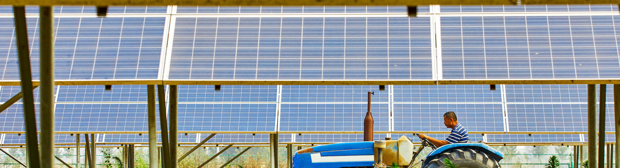 Des champs qui produisent à la fois de la nourriture et du courant électrique