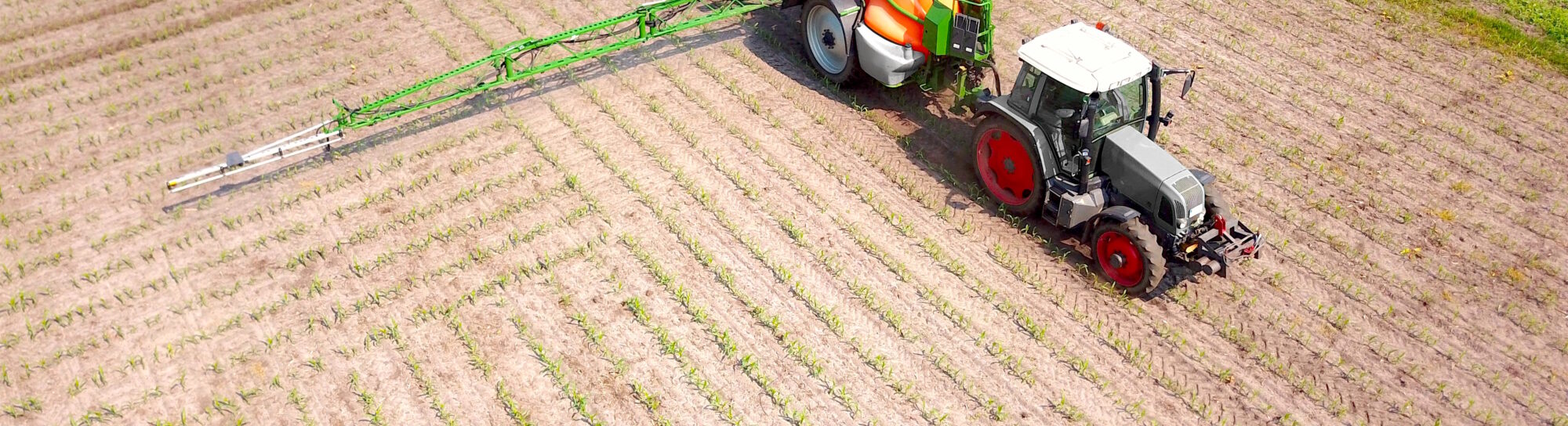 EU authorises glyphosate for another 10 years