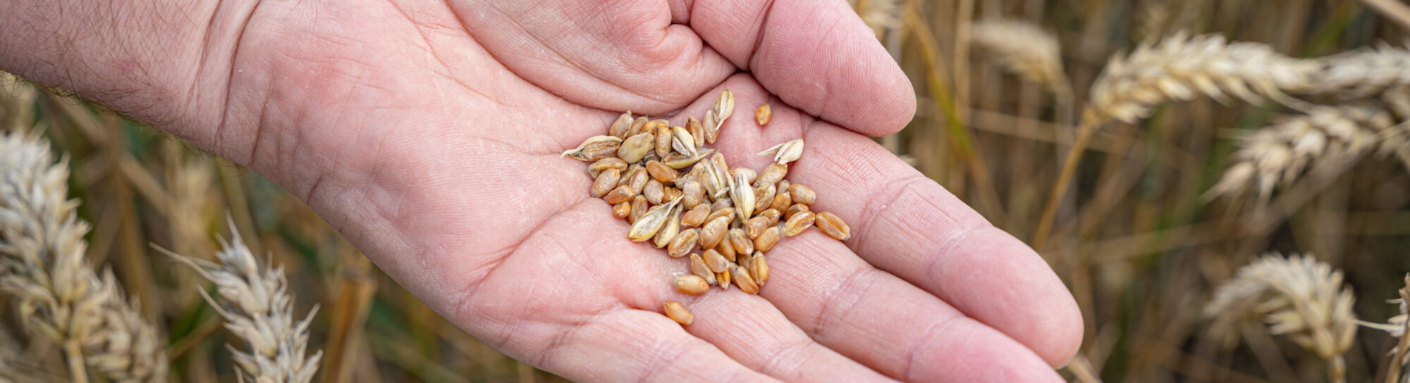 Risks to Swiss food security