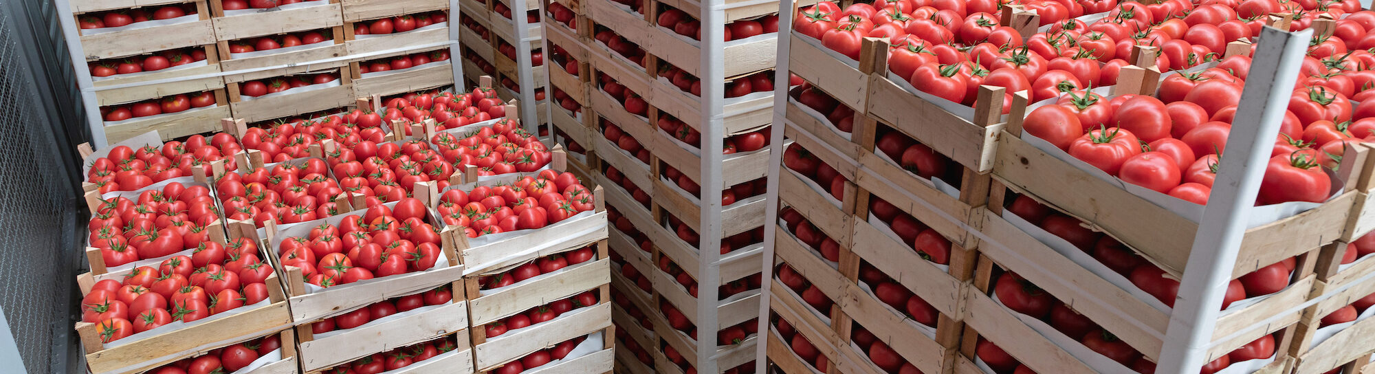 According to the Director of the Federal Office for Agriculture, “every second meal is imported”