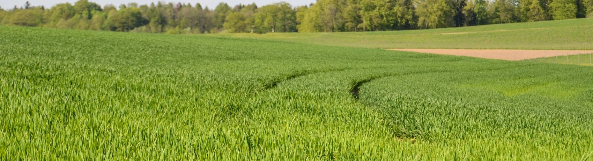 Challenges and opportunities of sustainable agriculture