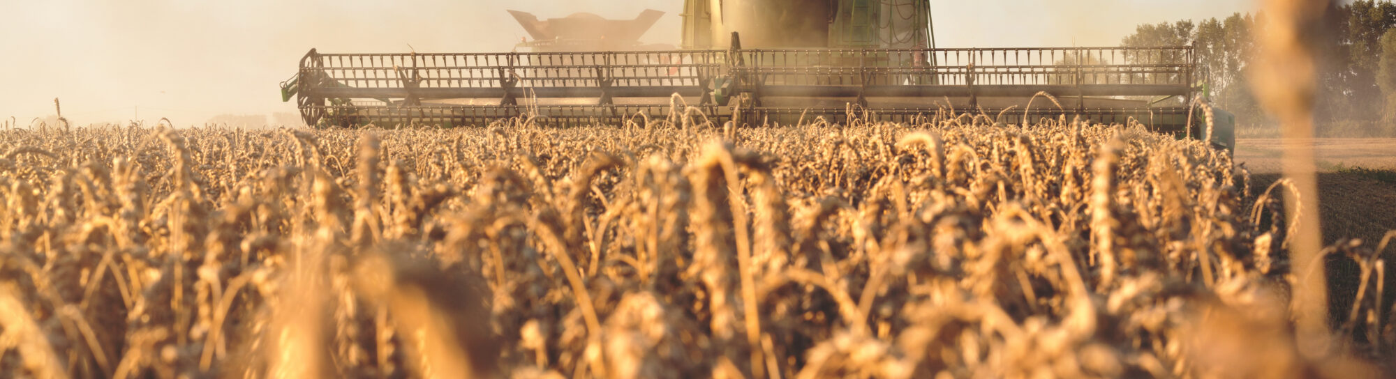 Agricultural production in the EU to drop by 20 percent