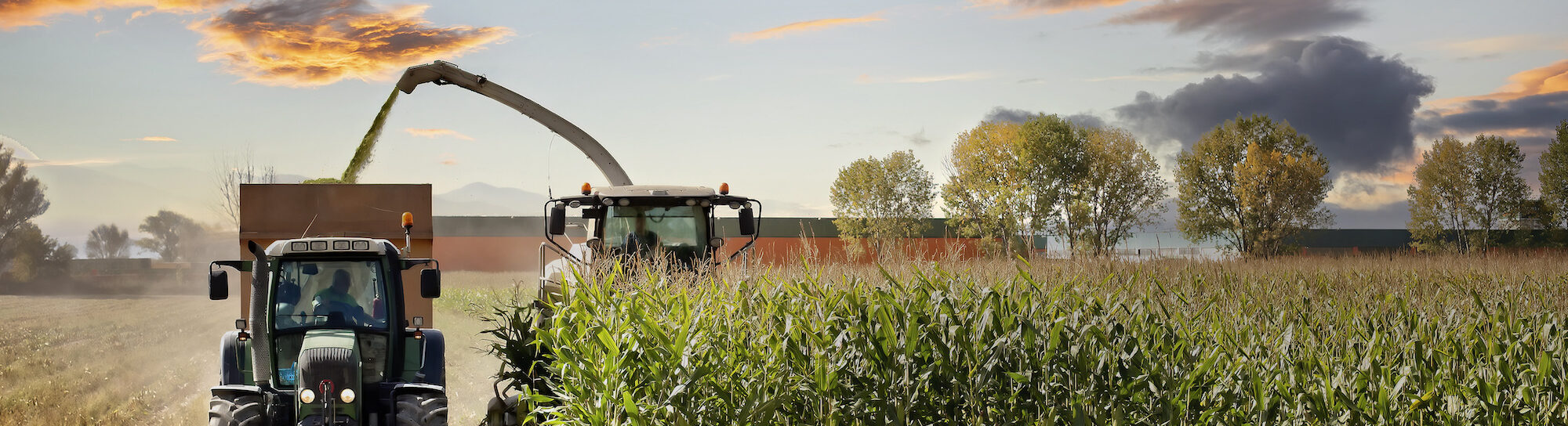 Agriculture intensive durable pour un système alimentaire résilient