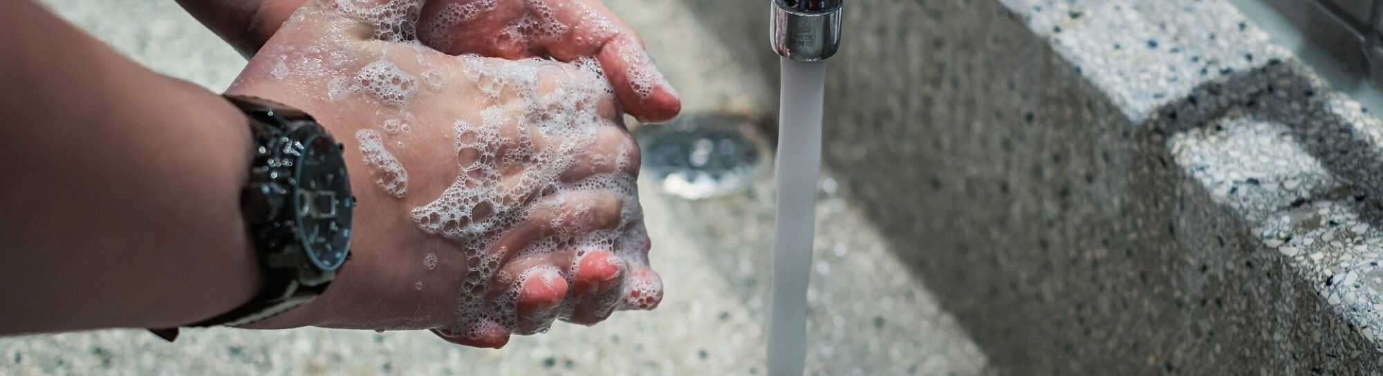 Without biocides, animal welfare and food safety suffer