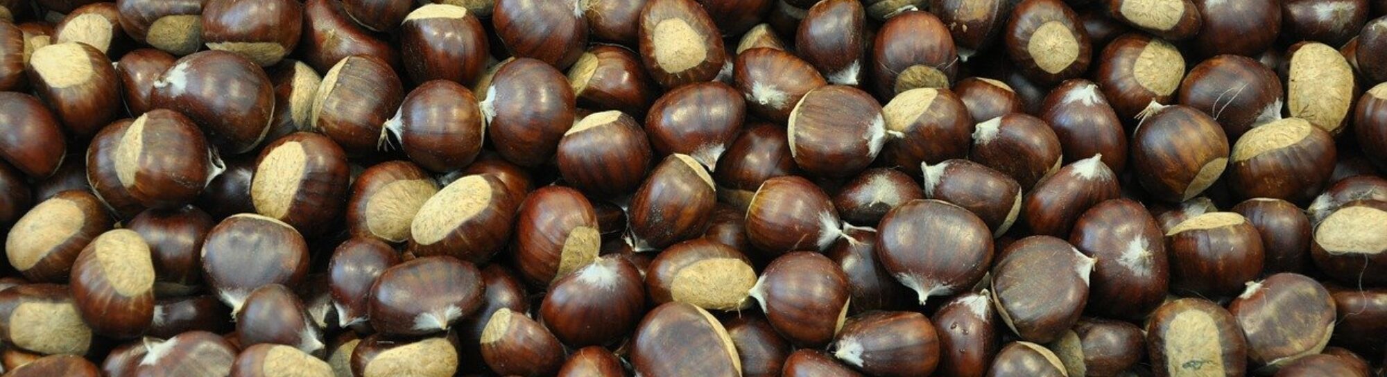 Les espèces invasives menacent les plantes indigènes